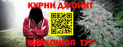 гидра Обь