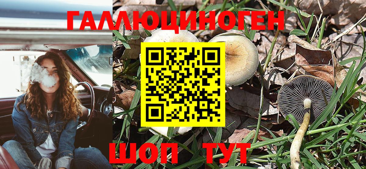 Соль-Илецк  Псилоцибиновые грибы GOLDEN TEACHER  Вход с VPN 