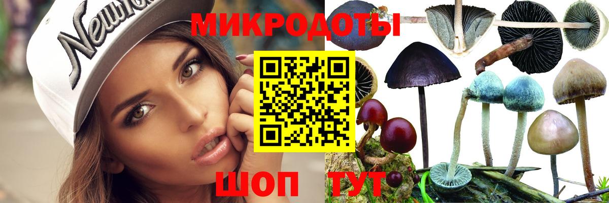 Галлюциногенные грибы Magic Shrooms Соль-Илецк